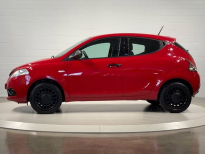 Lancia Ypsilon 1.2 69 CV 5 porte S&S Elefantino Blu (2)