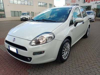 Fiat Punto 1.3 MJT II S&S 95 CV 5 porte Street usata