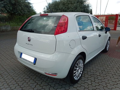 Fiat Punto 1.3 MJT II S&S 95 CV 5 porte Street (3)