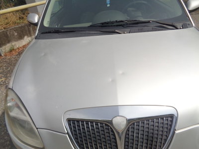 Lancia Ypsilon Multijet 16V Argento (12)