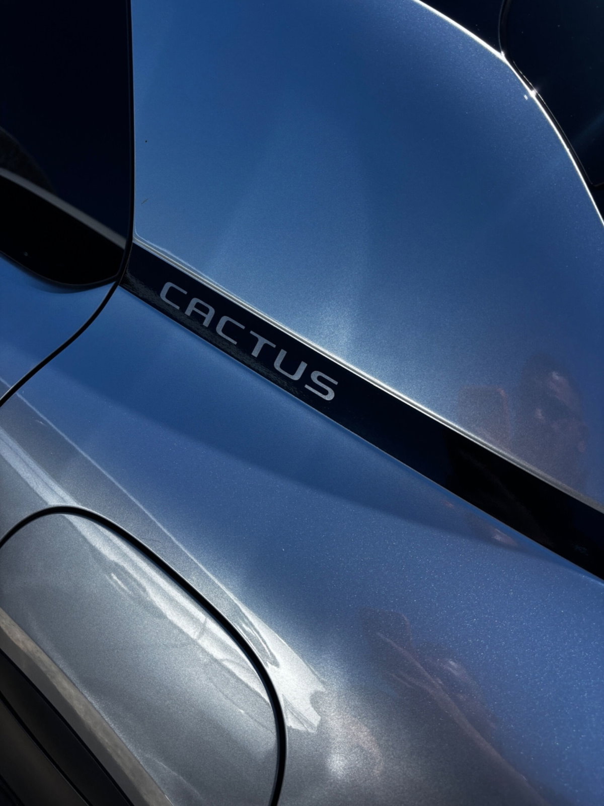 Citroen C4 Cactus BlueHDi 100 S&S Shine (11)