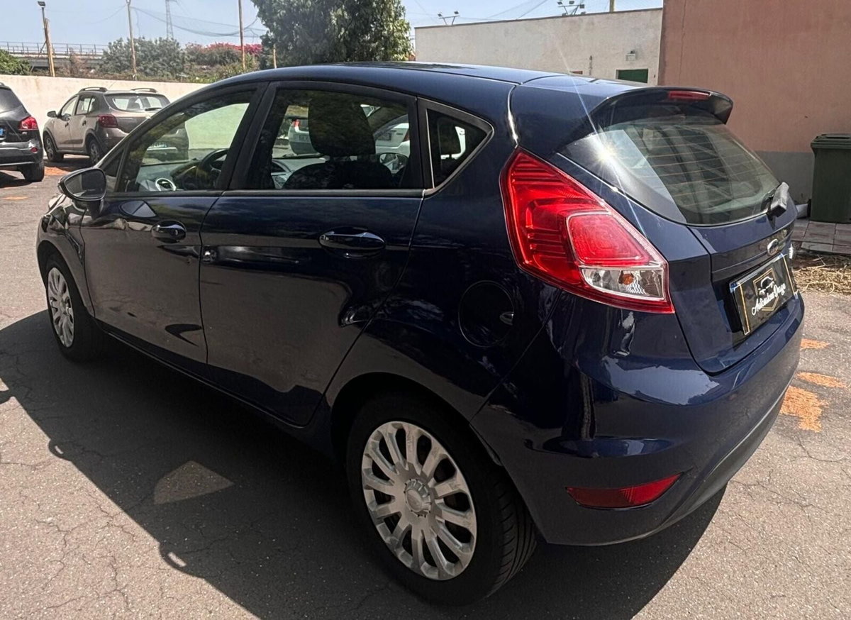 Ford Fiesta 1.2 82 CV 5 porte Titanium (5)