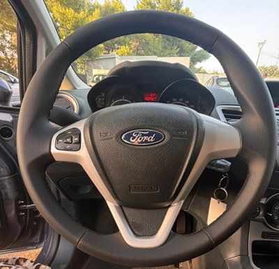 Ford Fiesta 1.4 TDCi 5p. Ambiente (15)