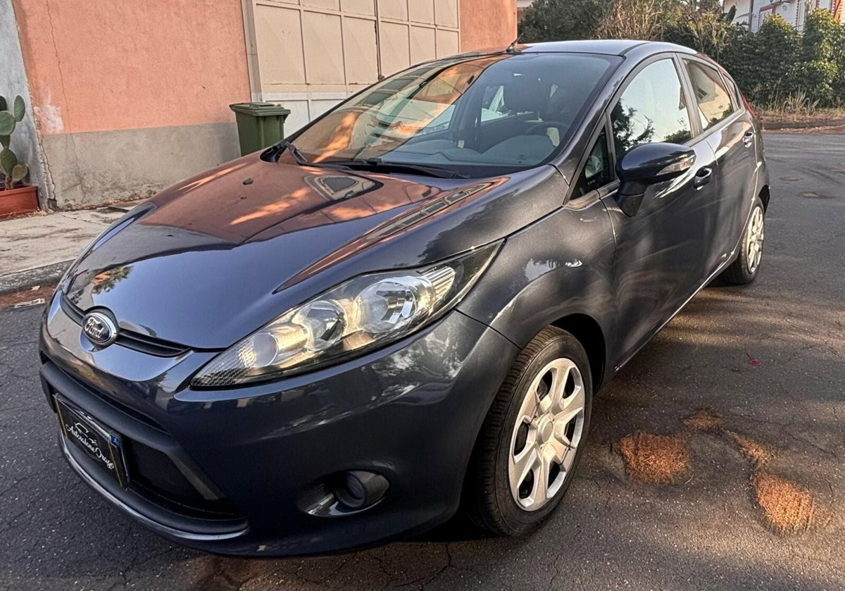 Ford Fiesta 1.4 TDCi 5p. Ambiente (7)