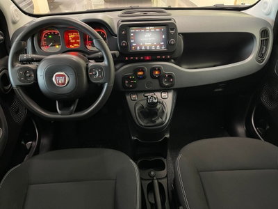 Fiat Panda Cross Cross 1.0 FireFly S&S Hybrid (14)