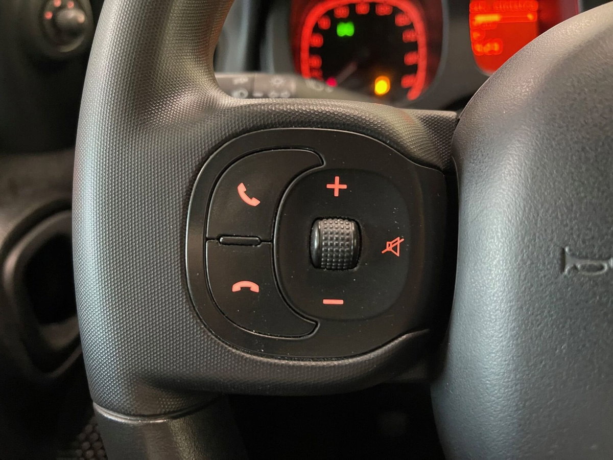 Fiat Panda Cross Cross 1.0 FireFly S&S Hybrid (16)