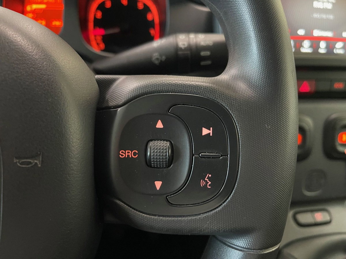 Fiat Panda Cross Cross 1.0 FireFly S&S Hybrid (17)