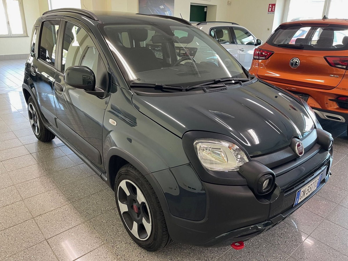 Fiat Panda Cross Cross 1.0 FireFly S&S Hybrid (4)