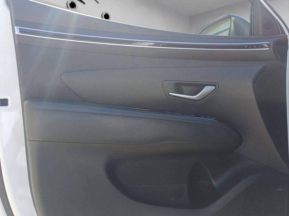 Hyundai Tucson 1.6 hev Exellence 2wd auto (10)