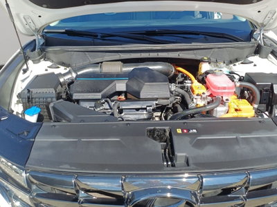 Hyundai Tucson 1.6 hev Exellence 2wd auto (16)