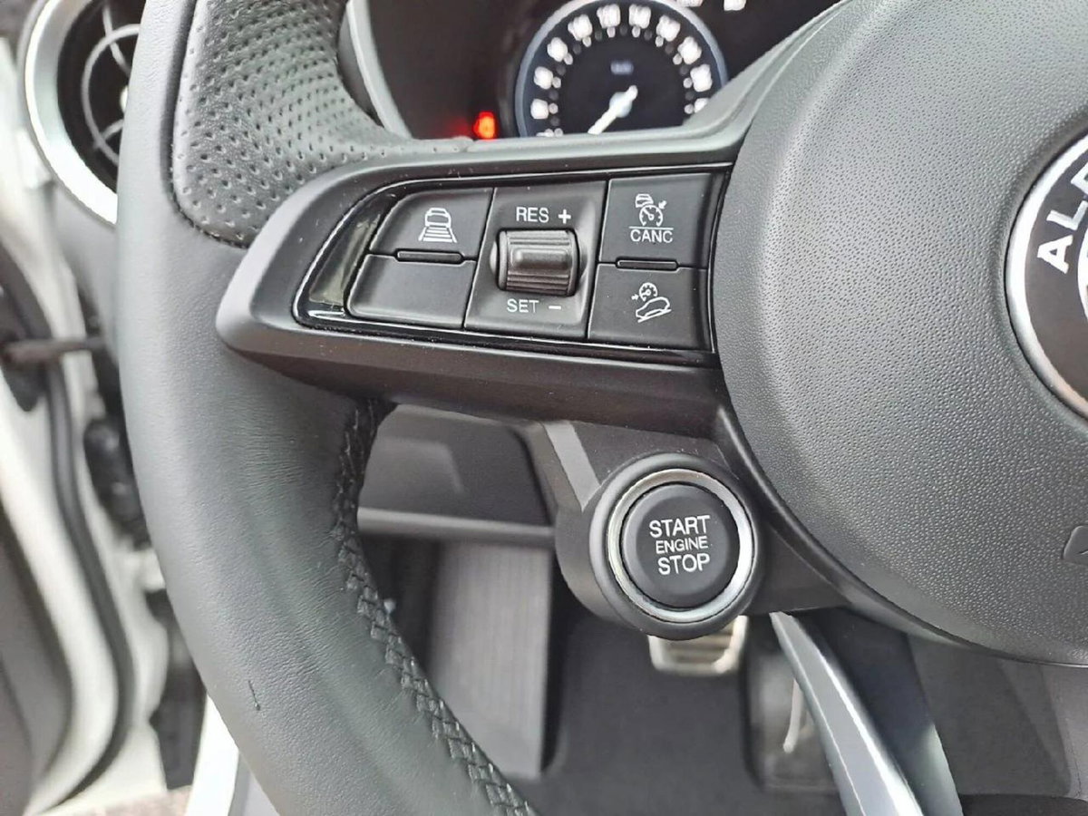 Alfa Romeo Stelvio Stelvio 2.0 Turbo 280 CV AT8 Q4 Super (11)