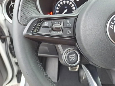 Alfa Romeo Stelvio Stelvio 2.0 Turbo 280 CV AT8 Q4 Super (11)