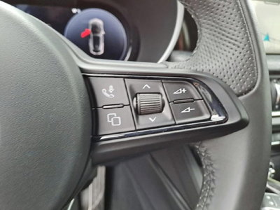Alfa Romeo Stelvio Stelvio 2.0 Turbo 280 CV AT8 Q4 Super (12)