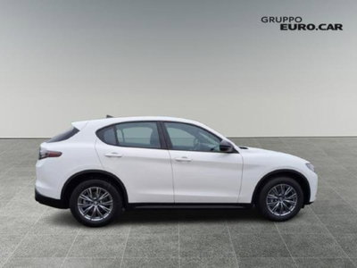Alfa Romeo Stelvio Stelvio 2.0 Turbo 280 CV AT8 Q4 Super (6)