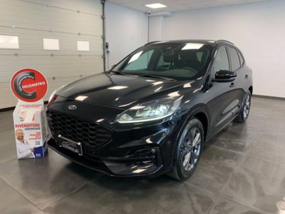 Ford Kuga 1.5 EcoBlue 120 CV aut. 2WD ST-Line X Design (3)