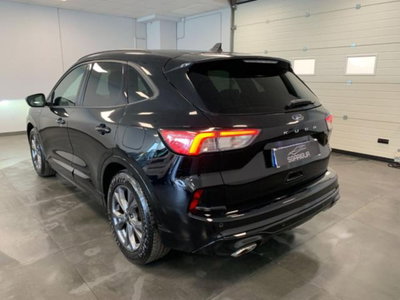 Ford Kuga 1.5 EcoBlue 120 CV aut. 2WD ST-Line X Design (4)