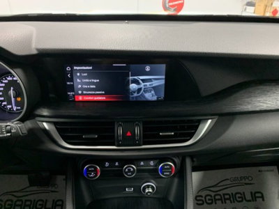 Alfa Romeo Stelvio Stelvio 2.2 Turbodiesel 160 CV AT8 RWD Sport-Tech (14)