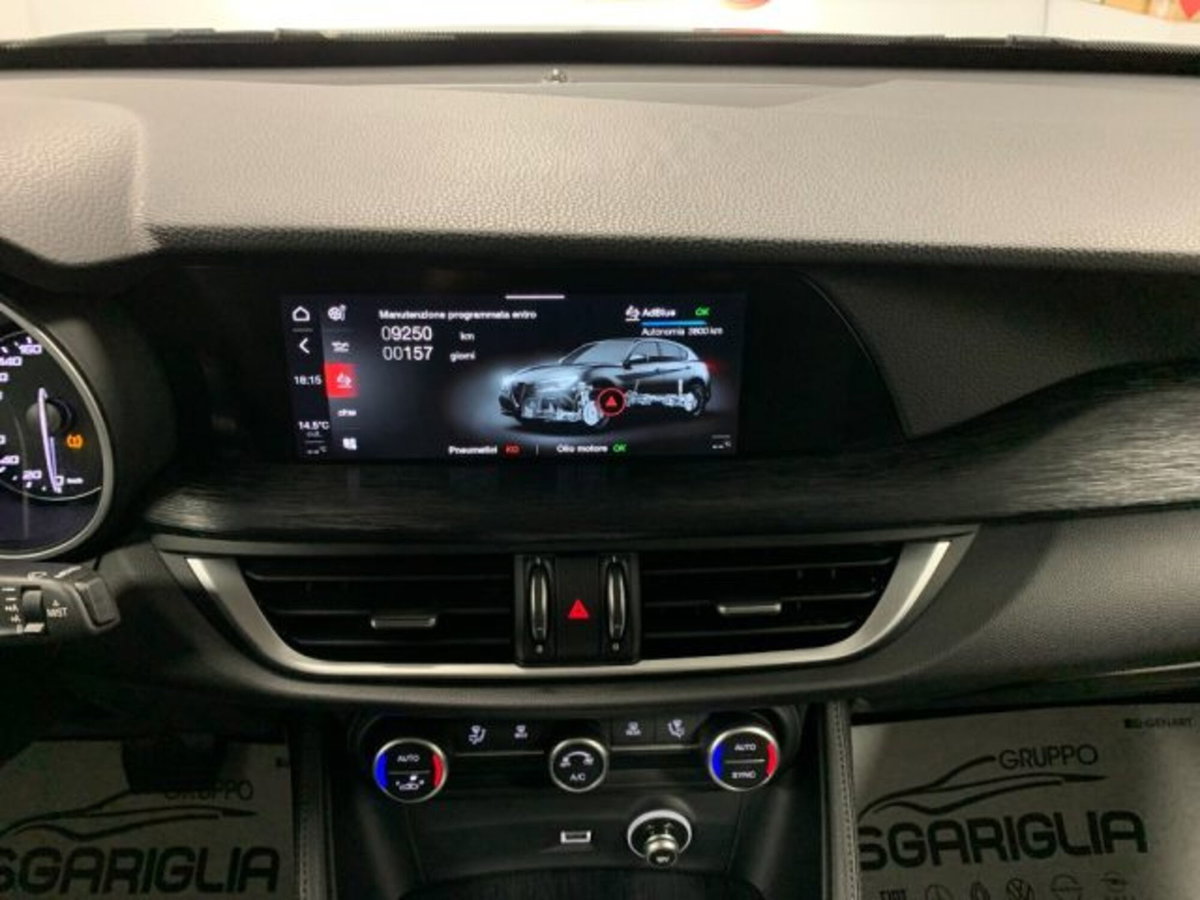 Alfa Romeo Stelvio Stelvio 2.2 Turbodiesel 160 CV AT8 RWD Sport-Tech (17)