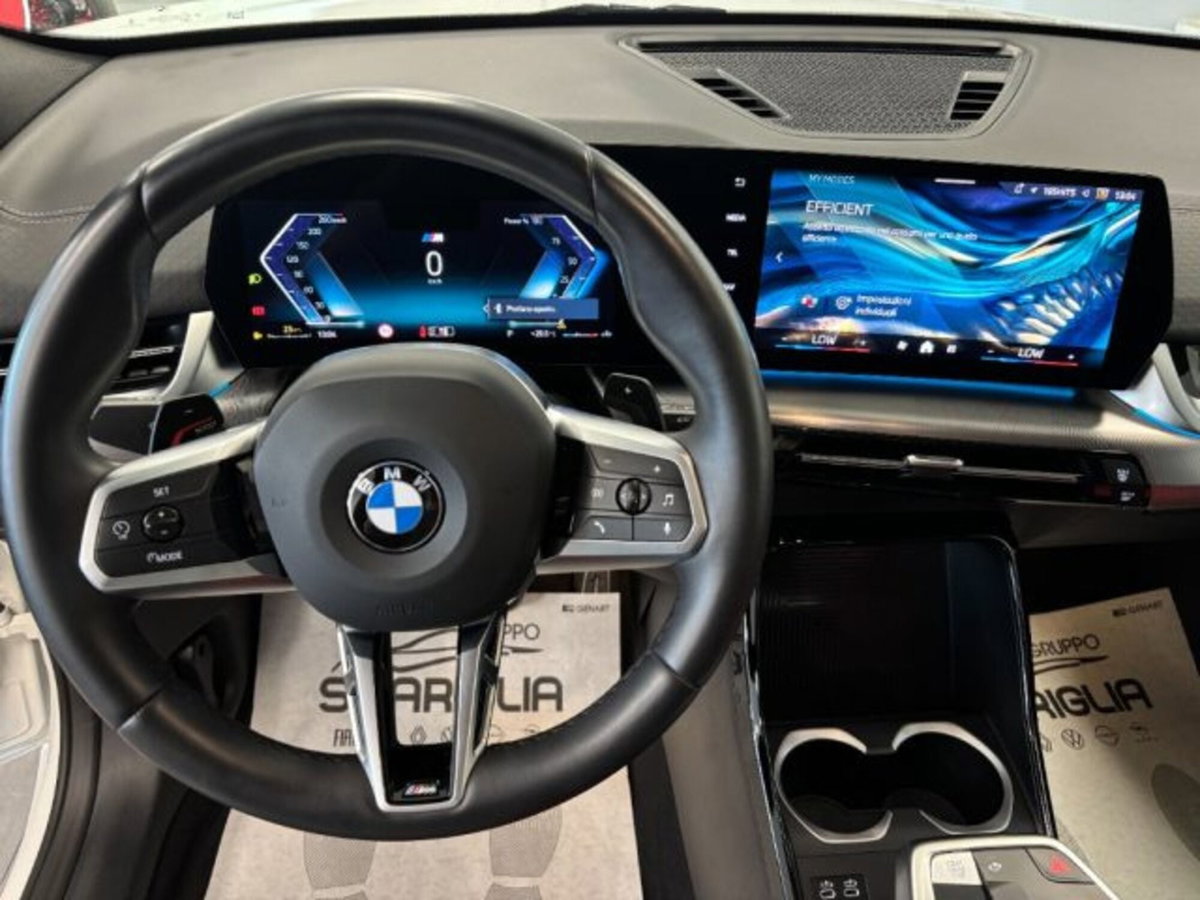 BMW X2 sdrive 18d MSport Pro auto (12)