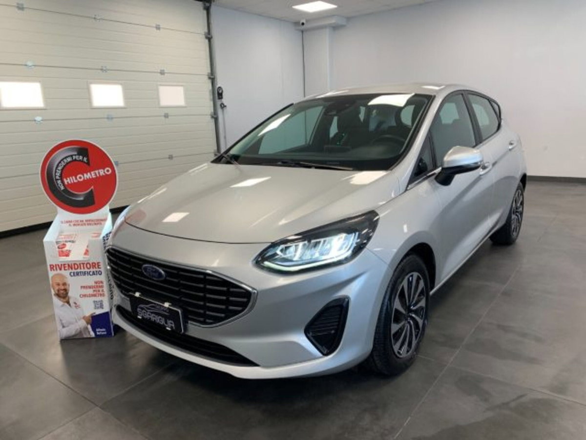 Ford Fiesta 1.1 75 CV 5 porte Titanium (3)