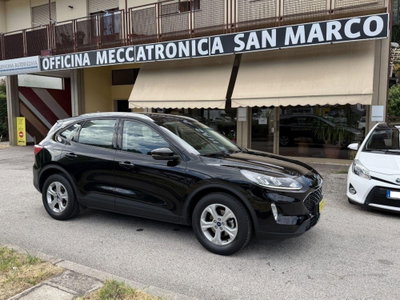 Ford Kuga 1.5 TDCI 120 CV S&S 2WD Plus usata