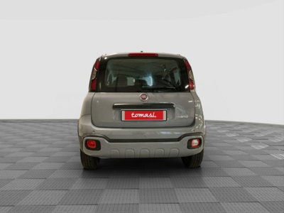 Fiat Panda 1.0 FireFly S&S Hybrid City Cross (4)