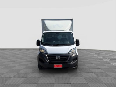 Fiat Ducato Cabinato Cabinato maxi 35 MH1 2.2 mjt3 140cv  AT9 serie 8 (7)