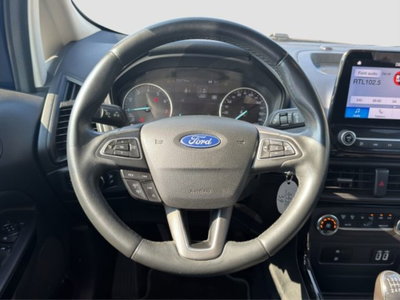 Ford EcoSport 1.0 EcoBoost 125 CV Start&Stop Business (13)