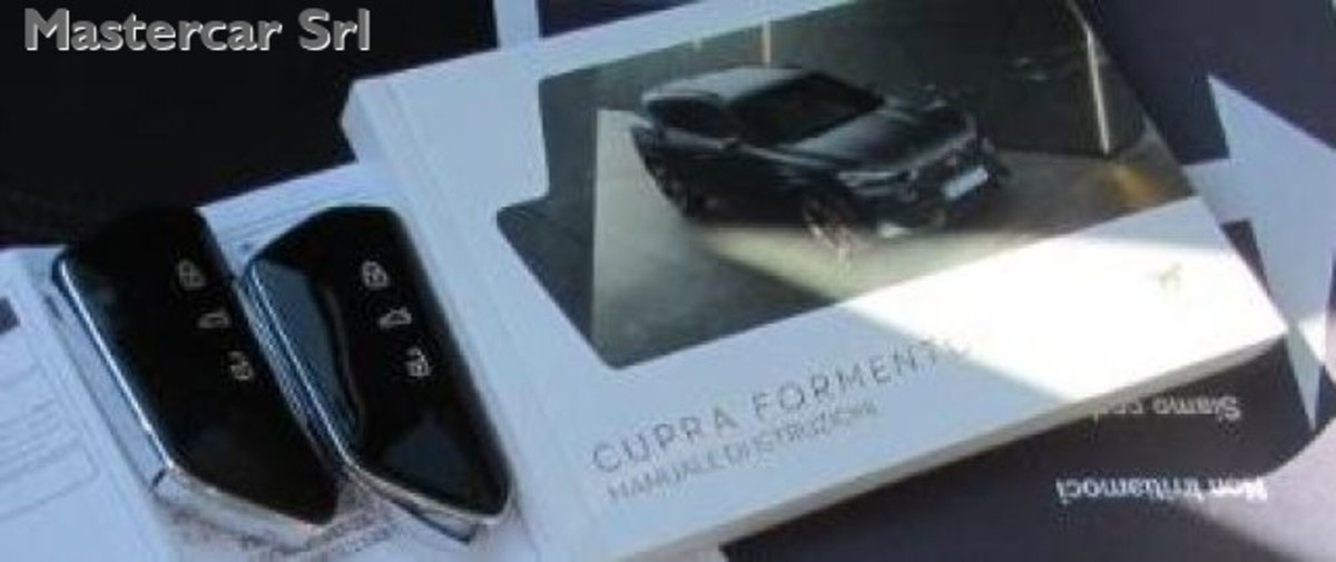 Cupra Formentor Formentor 2.0 TDI (10)