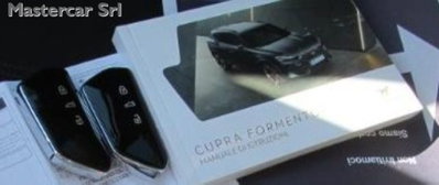 Cupra Formentor Formentor 2.0 TDI (10)