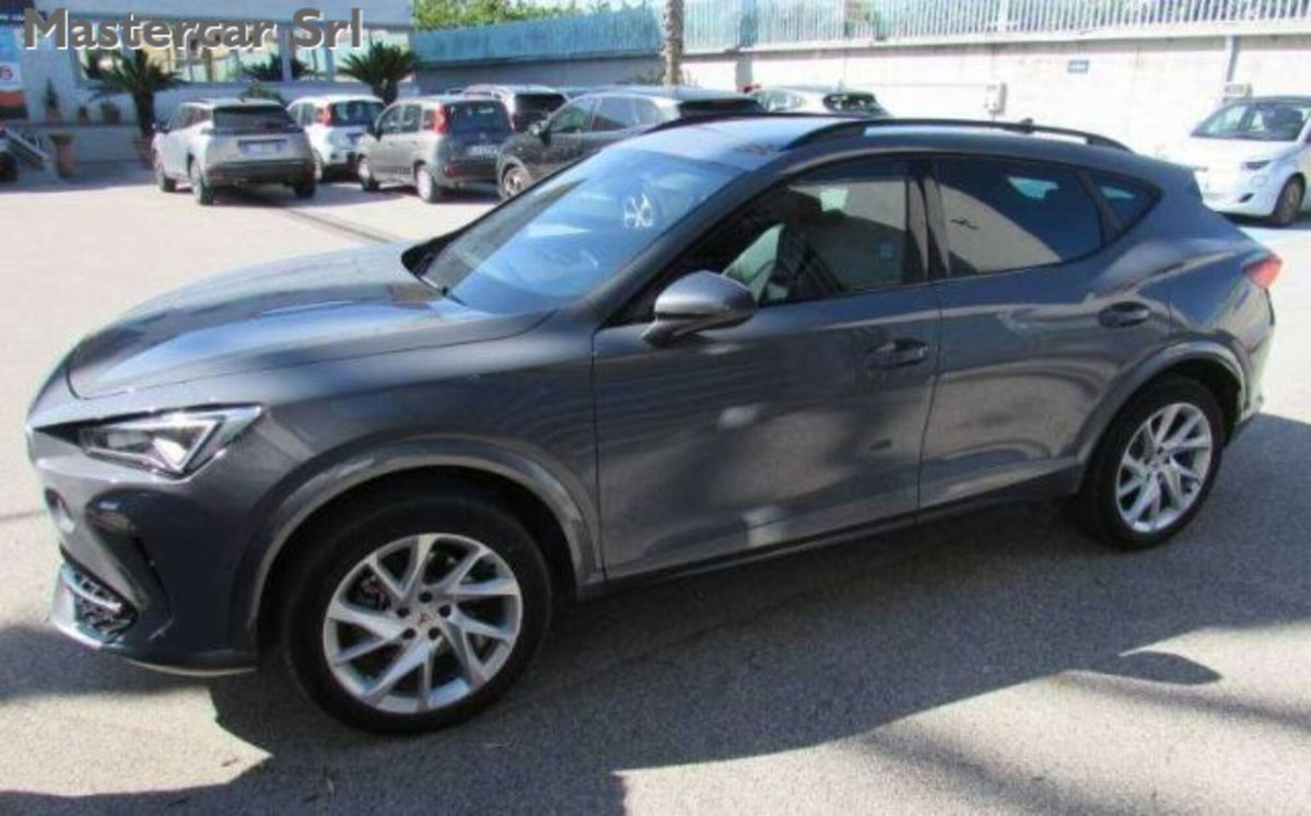 Cupra Formentor Formentor 2.0 TDI (3)