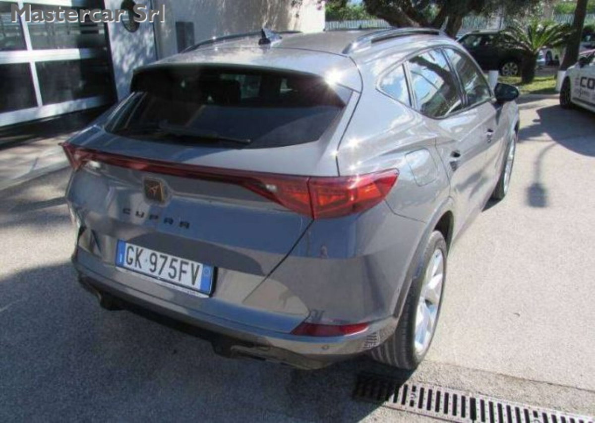 Cupra Formentor Formentor 2.0 TDI (5)