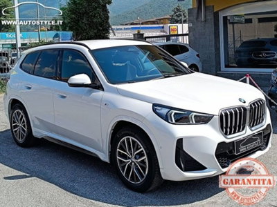 BMW X1 sdrive18i MSport auto (17)