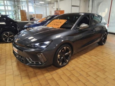 Cupra Leon Leon 2.0 tdi 150cv dsg (3)