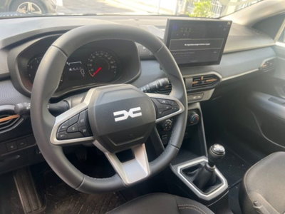 Dacia Sandero Stepway 1.2 Eco-G Expression 120cv auto (10)