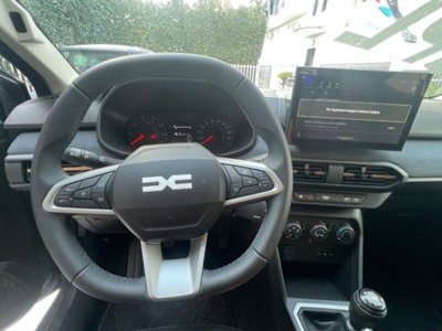 Dacia Sandero Stepway 1.2 Eco-G Expression 120cv auto (12)