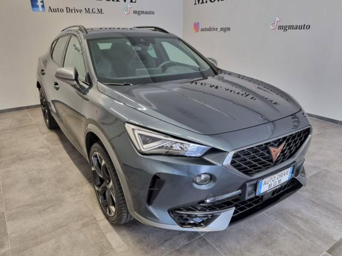 Cupra Formentor Formentor 1.4 e-Hybrid DSG (17)