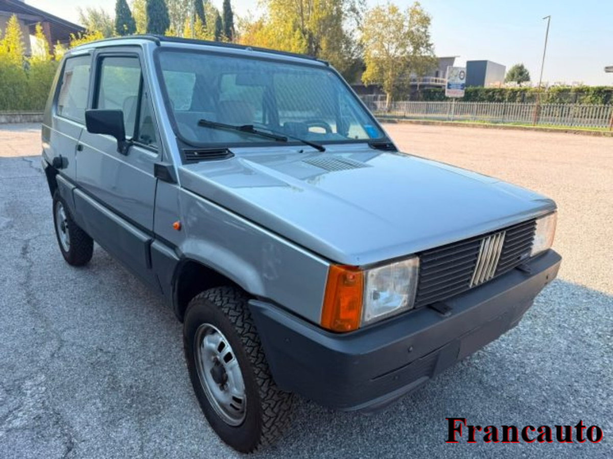 Fiat Panda 4x4 (2)