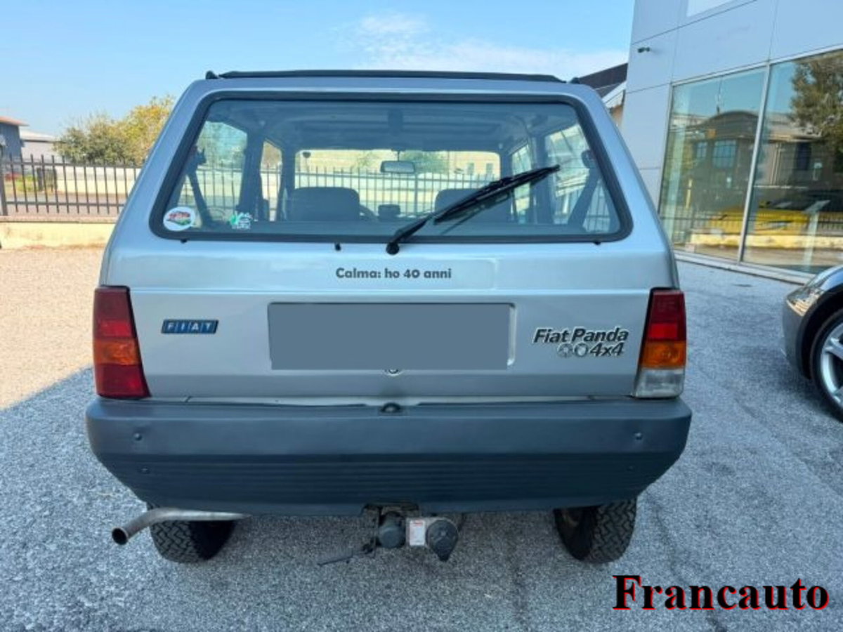 Fiat Panda 4x4 (4)