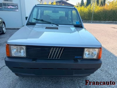 Fiat Panda 4x4 (5)