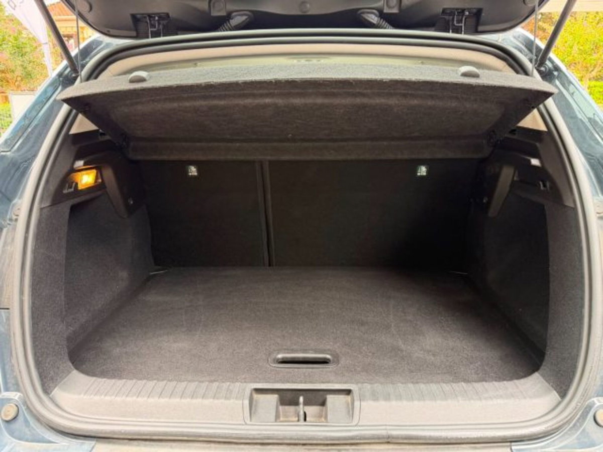 Renault Captur TCe 100 CV GPL FAP Intens (16)