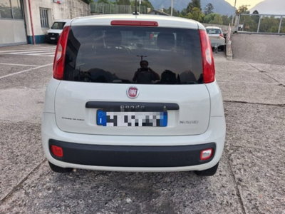 Fiat Panda 1.0 firefly hybrid s&s 70cv 5p.ti (8)