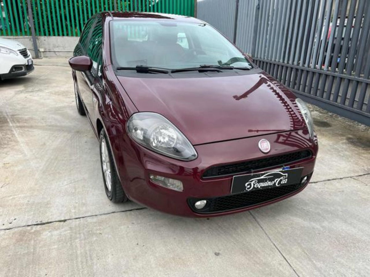 Fiat Punto Evo 1.3 Mjt 75 CV 5 porte Active (2)