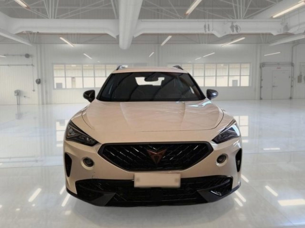 Cupra Formentor Formentor 1.4 e-Hybrid DSG (4)