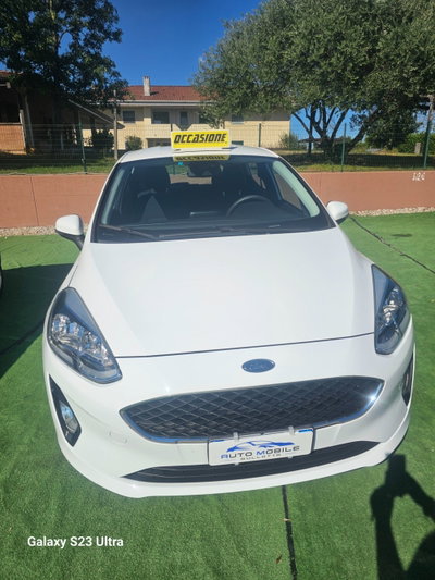 Ford Fiesta 1.0 Ecoboost 100 CV 5 porte Vignale usata
