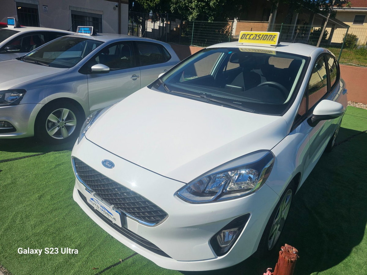 Ford Fiesta 1.0 Ecoboost 100 CV 5 porte Vignale (2)
