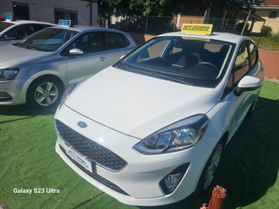 Ford Fiesta 1.0 Ecoboost 100 CV 5 porte Vignale (2)