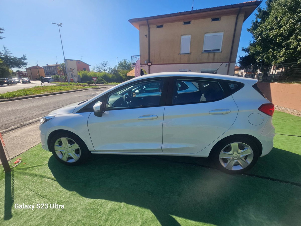 Ford Fiesta 1.0 Ecoboost 100 CV 5 porte Vignale (4)