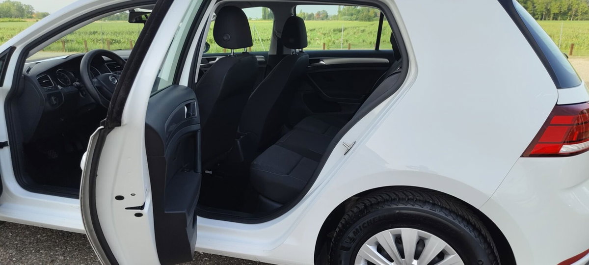 Volkswagen Golf 1.4 TGI 5p. Trendline BlueMotion (10)