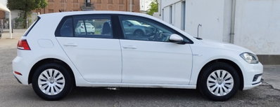Volkswagen Golf 1.4 TGI 5p. Trendline BlueMotion (16)